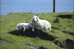 2011.06 Schottland Album III