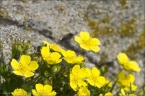 web_milseburgl_06