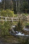 2014_roesper_ww_10