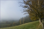 2014_wiesentpfad_01