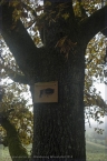 2014_wiesentpfad_02
