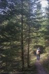 2014_wiesentpfad_03