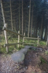 2014_wiesentpfad_04