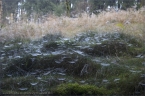 2014_wiesentpfad_07