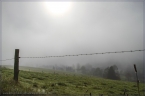 2014_wiesentpfad_10