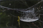 2014_wiesentpfad_15