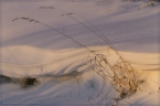 2014_winter_web_01