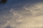 2014_winter_web_13
