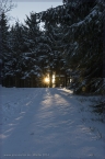 2014_winter_web_18
