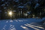 2014_winter_web_19