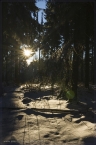2014_winter_web_20