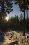 2014_winter_web_21