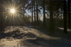 2014_winter_web_22