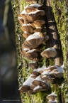 2014_winter_web_28