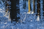 2014_winter_web_29