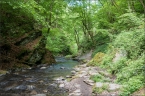 201405_ehrbachklamm_10