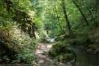 201405_ehrbachklamm_14