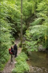 201405_ehrbachklamm_27