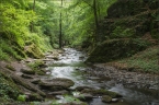 201405_ehrbachklamm_29