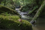 201405_ehrbachklamm_30