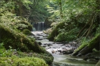 201405_ehrbachklamm_31