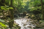 201405_ehrbachklamm_32