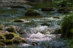 201405_ehrbachklamm_33
