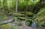 201405_ehrbachklamm_37