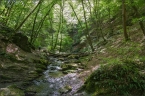 201405_ehrbachklamm_38
