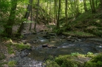201405_ehrbachklamm_39