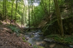 201405_ehrbachklamm_40