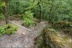 201405_ehrbachklamm_41