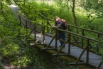 201506_traumpfad_hssteig_14.jpg