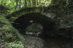 201506_traumpfad_hssteig_17.jpg