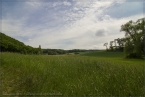 201506_traumpfad_hssteig_19.jpg