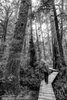 IMG_3579_80_81_fused.jpg