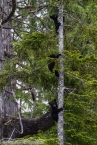 Bild00050.jpg