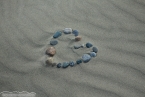 Bild00090.jpg