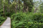 Bild00091.jpg