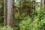 Bild00138.jpg