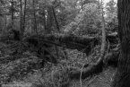 Bild00144.jpg