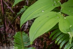 Bild00146.jpg