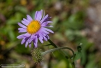 Bild00216.jpg