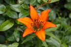 Bild00231.jpg