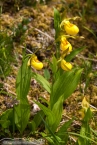 Bild00232.jpg