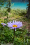 Bild00235.jpg