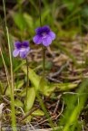 Bild00237.jpg