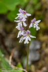 Bild00239.jpg