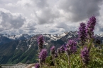 Bild00284.jpg