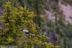 Bild00294.jpg